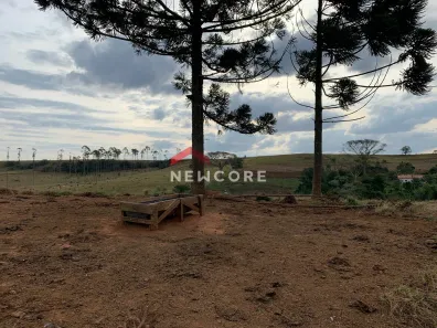Fazenda/Sítio com 4 Quartos à venda, 338800m² no , Pardinho