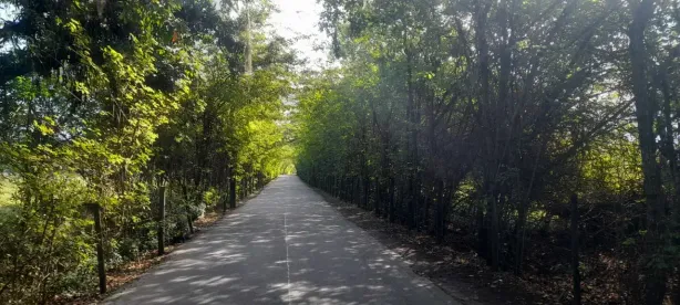 Casa com 2 Quartos à venda, 80m² no Rodovia Rio Santos, Mangaratiba