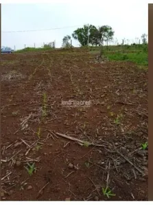 Lote/Terreno à venda, 1000m² no Paiquerê, Londrina