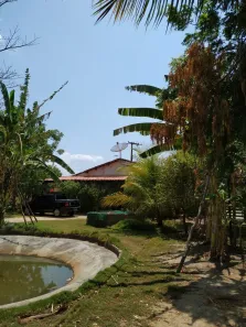 Fazenda/Sítio com 2 Quartos à venda, 150m² no , Tururu