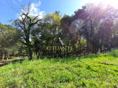 Lote/Terreno à venda, 1150m² no Pedancino, Caxias do Sul