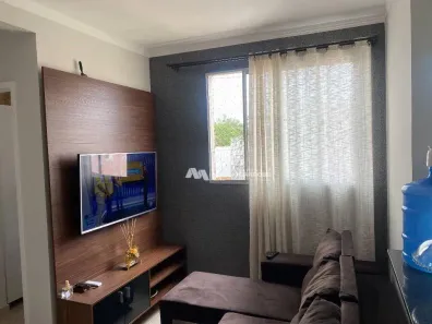 Apartamento com 2 Quartos à venda, 47m² no Parque das Flores II, São José do Rio Preto
