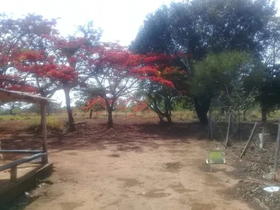 Fazenda/Sítio com 2 Quartos à venda, 24000m² no , Brasília