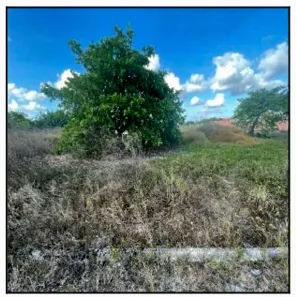 Lote/Terreno à venda, 4032m² no Dourado, Horizonte