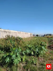 para alugar, 534m² no Jardim Firenze, Santa Bárbara D'Oeste