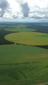 Fazenda/Sítio à venda, 16359200m² no , Jussara