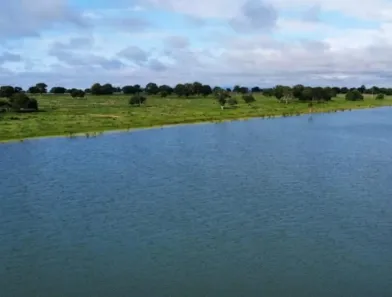 Fazenda/Sítio com 4 Quartos à venda, 4644m² no Centro, Barra do Garças