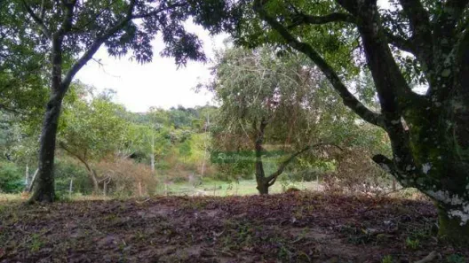 Lote/Terreno à venda, 1560m² no Jardim Santa Hermínia, São José dos Campos
