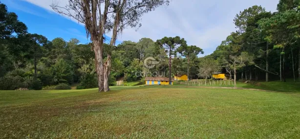 Fazenda/Sítio com 5 Quartos à venda, 45000m² no Colônia Murici, São José dos Pinhais