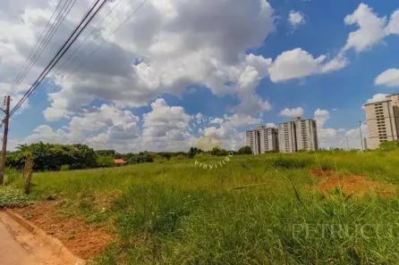 Lote/Terreno à venda, 346m² no Jardim dos Calegaris, Paulínia