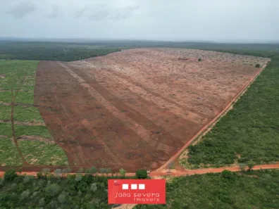 Fazenda/Sítio com 4 Quartos à venda, 4020000m² no Setor Central, Araguaína