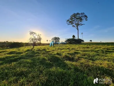 Fazenda/Sítio com 3 Quartos à venda, 10000m² no , Cafelândia