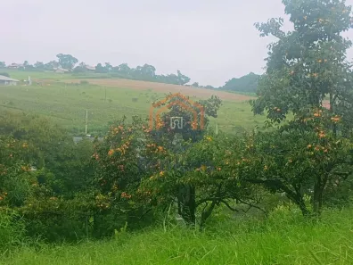 Lote/Terreno à venda, 73000m² no Jardim Rosaura, Jundiaí