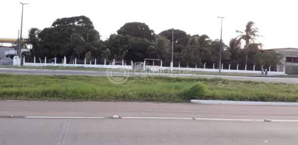 Fazenda/Sítio à venda, 6000m² no Taborda, São José de Mipibu
