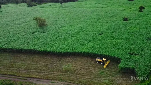 Fazenda/Sítio à venda, 726000m² no Setor Central, Ponte Alta do Tocantins