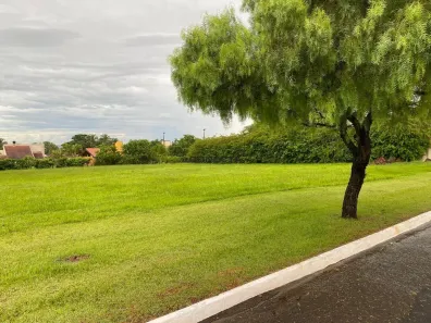Lote/Terreno à venda, 2500m² no Jardim Santa Adelaide, Cambé