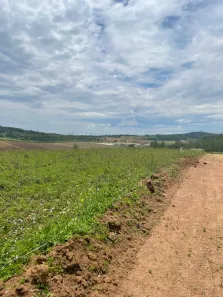 Lote/Terreno à venda, 500m² no Recreio Topázio (Caucaia do Alto), Cotia