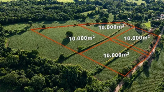 Fazenda/Sítio à venda, 10000m² no Rural, Nerópolis