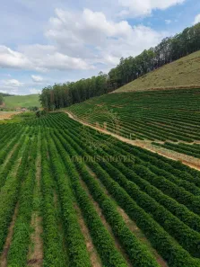 Fazenda/Sítio com 5 Quartos à venda, 431000m² no , Taparuba