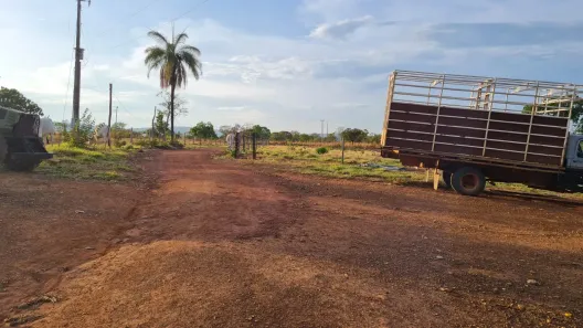 Fazenda/Sítio à venda, 4450000m² no , Nova Roma
