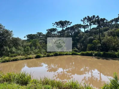 Fazenda/Sítio com 1 Quarto à venda, 20000m² no Bateias de Baixo, Campo Alegre