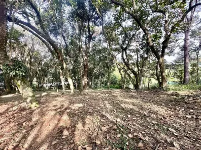 Lote/Terreno à venda, 1m² no Parque Rincão, Cotia