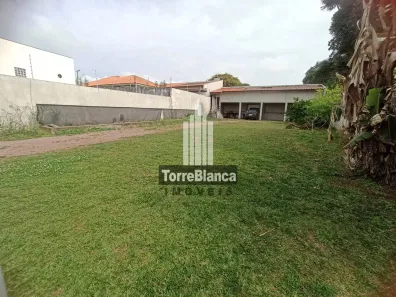 para alugar, 35m² no Orfãs, Ponta Grossa