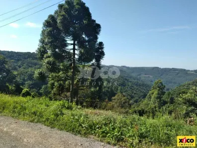 Lote/Terreno à venda, 539m² no , Nova Petrópolis