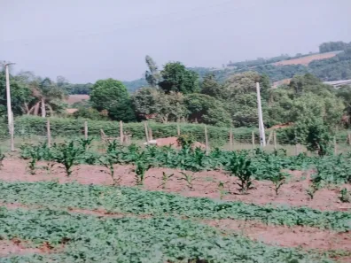 Fazenda/Sítio com 1 Quarto à venda, 50m² no , Piedade