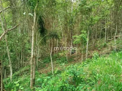Fazenda/Sítio à venda, 20000m² no Freguesia da Escada, Guararema