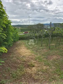 Galpão/Depósito/Armazém à venda, 15600m² no Poste, Jundiaí