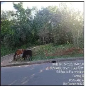 Lote/Terreno à venda, 7405m² no Camaquã, Porto Alegre