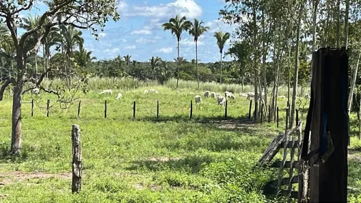 Fazenda/Sítio com 2 Quartos à venda, 333m² no , Itapecuru Mirim