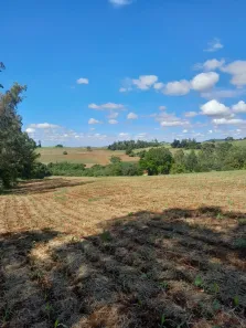 Fazenda/Sítio à venda, 80944m² no , Ibiporã