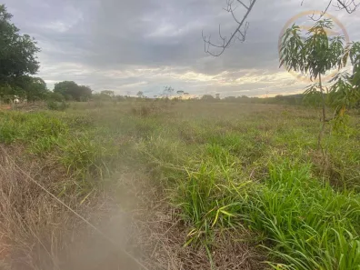 Fazenda/Sítio com 4 Quartos à venda, 70000m² no Paranoá, Brasília