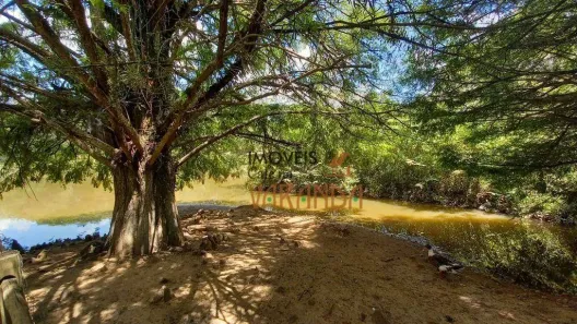 Fazenda/Sítio com 5 Quartos à venda, 652m² no Dois Córregos, Valinhos