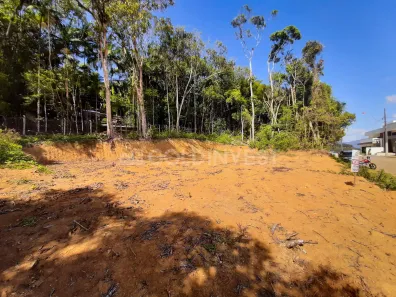Lote/Terreno à venda, 331m² no Guarani, Brusque