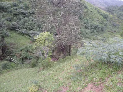 Fazenda/Sítio com 1 Quarto à venda, 1m² no Cidade Jardim, Barra do Choça