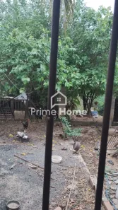 Casa com 2 Quartos à venda, 1000m² no Centro, Campinas