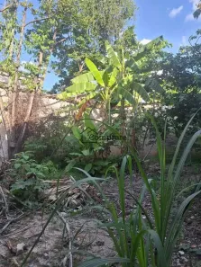Lote/Terreno à venda, 165m² no Vila Barroquinha, Contagem