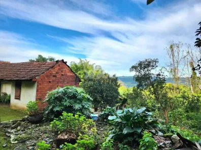 Fazenda/Sítio com 1 Quarto à venda, 5000m² no Pinhal Alto, Nova Petrópolis