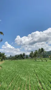 Fazenda/Sítio à venda, 500m² no Machado, Ibiúna