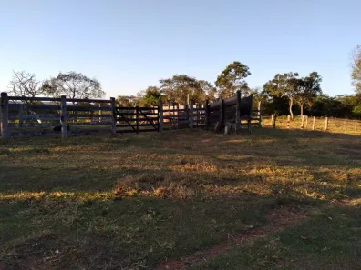 Fazenda/Sítio com 4 Quartos à venda, 27m² no Área Rural de Campo Verde, Campo Verde
