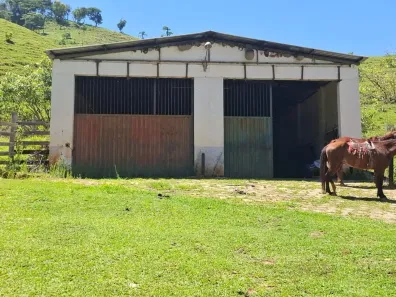 Fazenda/Sítio à venda, 1380m² no Sertãozinho, Borda da Mata
