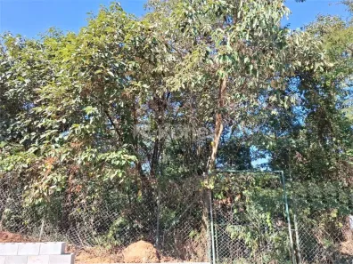 Lote/Terreno à venda, 4113m² no Jardim Peri, São Paulo