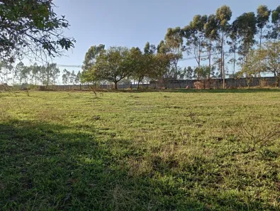 Imóvel Comercial à venda, 54200m² no Jardim Ipaussurama, Campinas