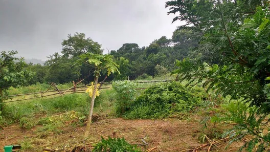 Lote/Terreno à venda, 87000m² no Jardim Ísis, Cotia
