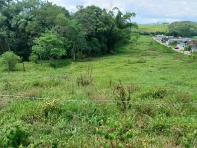 Lote/Terreno à venda, 10000m² no Calemba, Santo Amaro da Imperatriz