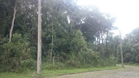 Lote/Terreno à venda, 3078m² no Ana Rech, Caxias do Sul