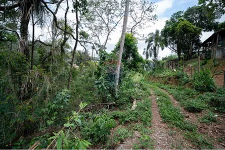 Lote/Terreno à venda, 21000m² no Previdenciários, Juiz de Fora
